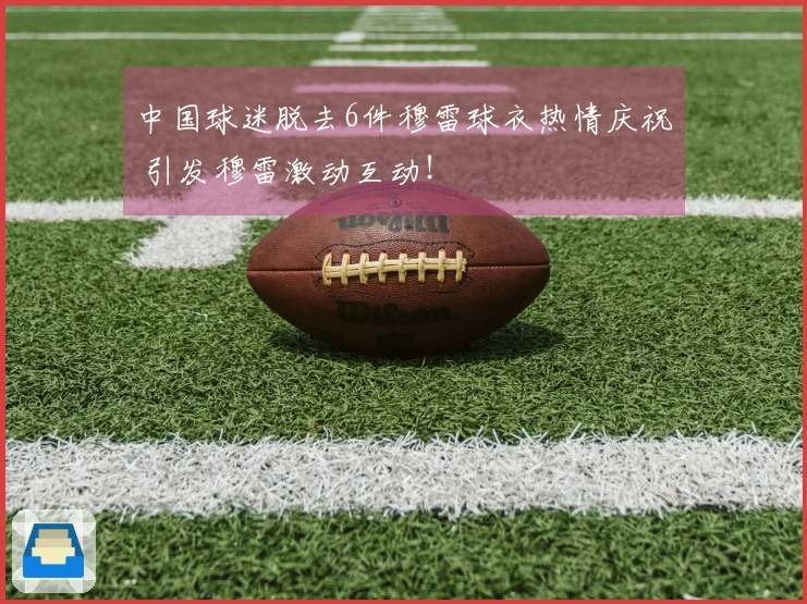 中国球迷脱去6件穆雷球衣热情庆祝 引发穆雷激动互动！